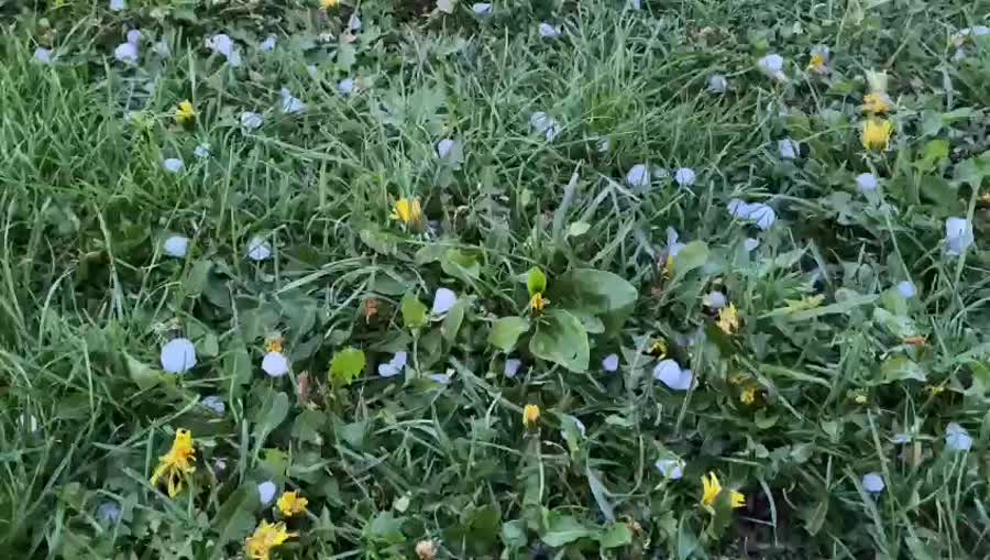 Berlin Reichstag area during hail rain