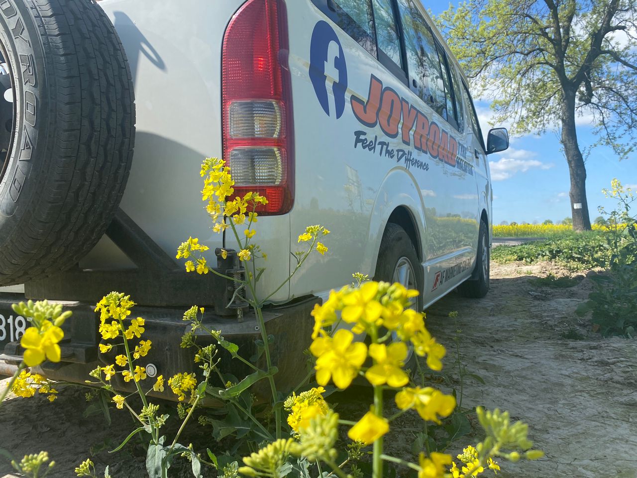 Yellow flowers beside Toyotaki in Poland